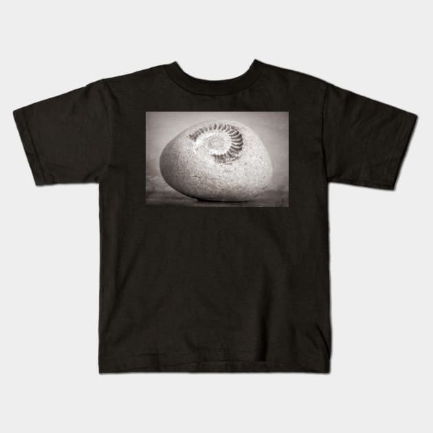 Fossil Kids T-Shirt by RJDowns